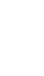 Porsche and Audi Logos